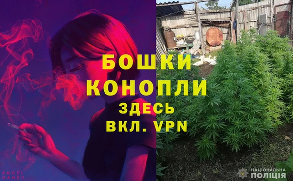 спиды Осташков