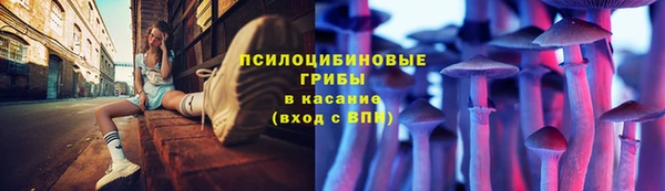 стаф Абдулино